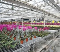 移動苗床分為幾種？什么材質(zhì)的是好的？—華耀農(nóng)業(yè)